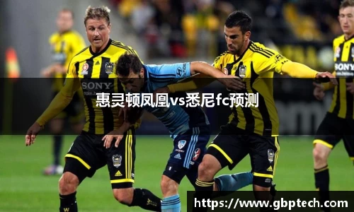 惠灵顿凤凰vs悉尼fc预测